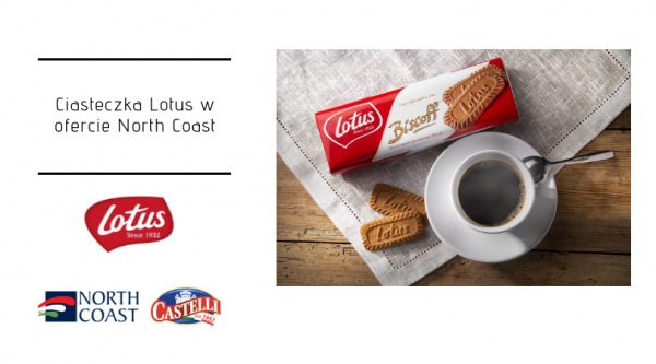 Małe ciasteczko, wielki sukces