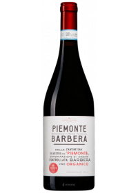 Barbera DOC BIO