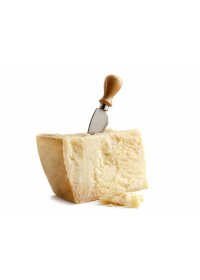 GRANA PADANO DOP OK. 4KG