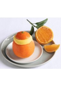 Sorbet Mandarino Ripieno